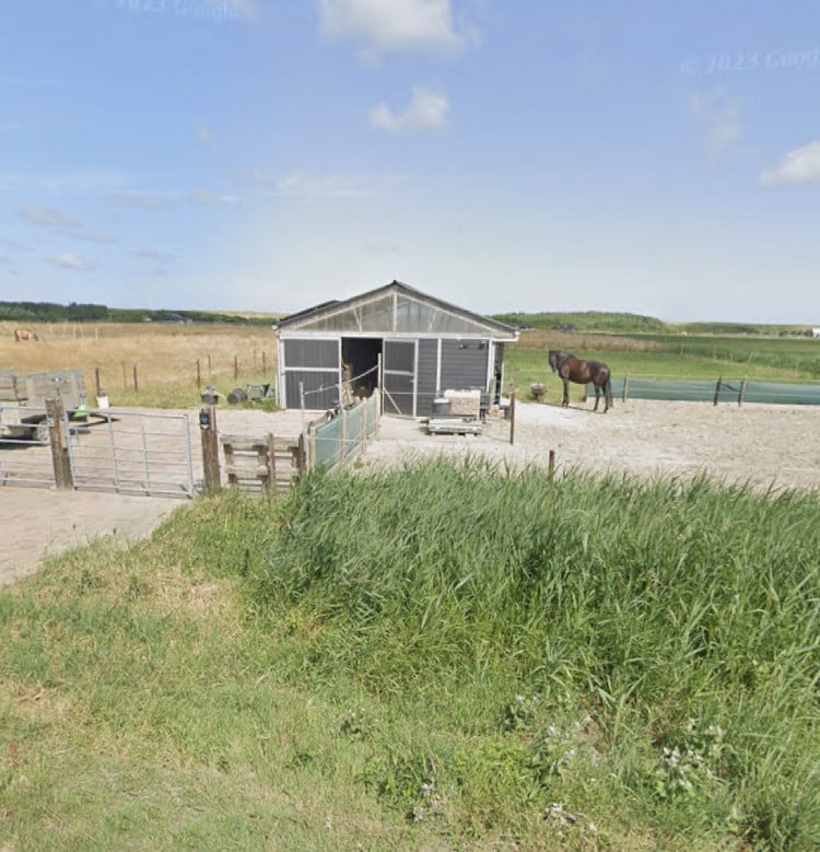 Paardenbox te huur met vrije uitloop zandpaddock Westkapelle