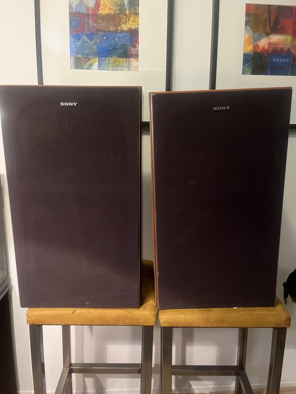Sony Speakers + gratis versterker