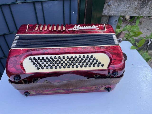 Accordeon Manuela Leclin met riemen en koffer