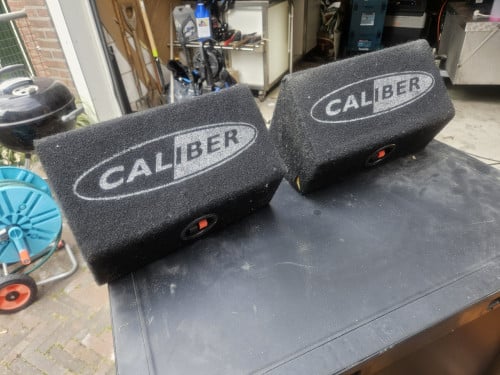 Pioneer ovale speakers in Caliber behuizing