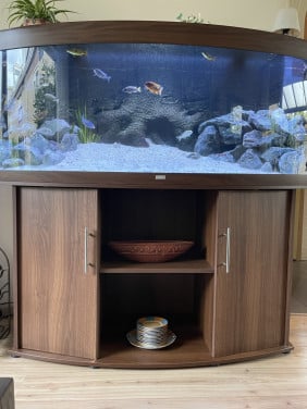 Fraai Juwel Vision 450 aquarium met Malawi biotoop