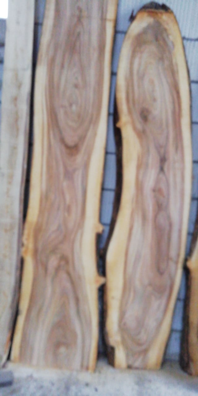 Boomstamtafels Tafelbladen - Planken in boomstamvorm decoratie bar Salon
