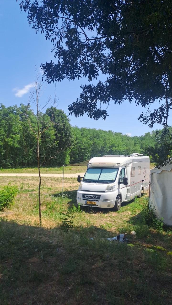 Camper T 664 SL