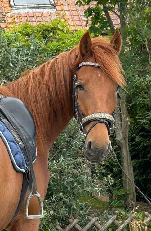 Lieve ruin