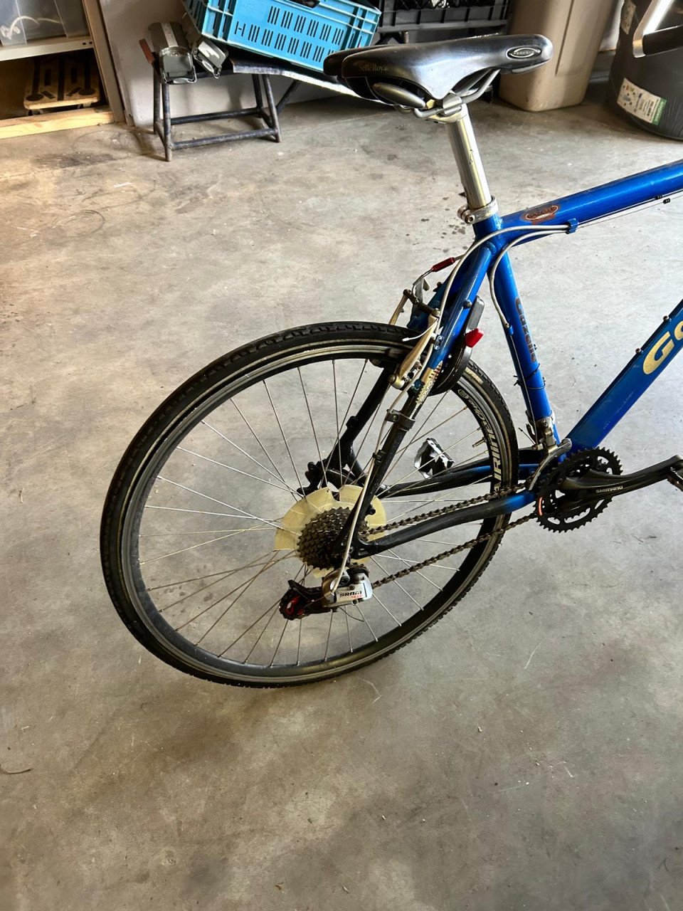 GAZELLE GOLFO