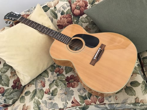 Epiphone FT-130 MPL gitaar
