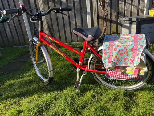 Kinderfiets Gazelle Husky 24 inch