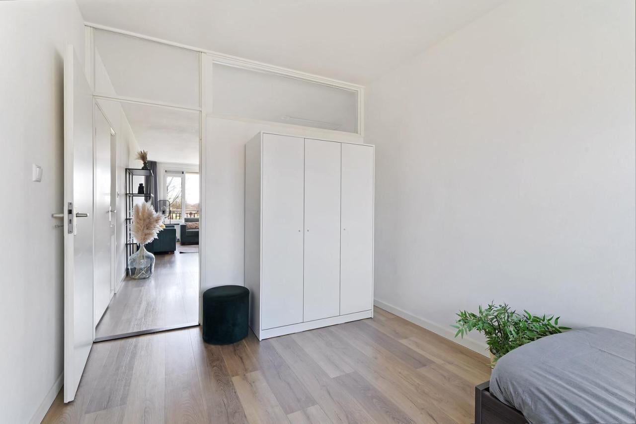 Lamp + complete inboedel te koop