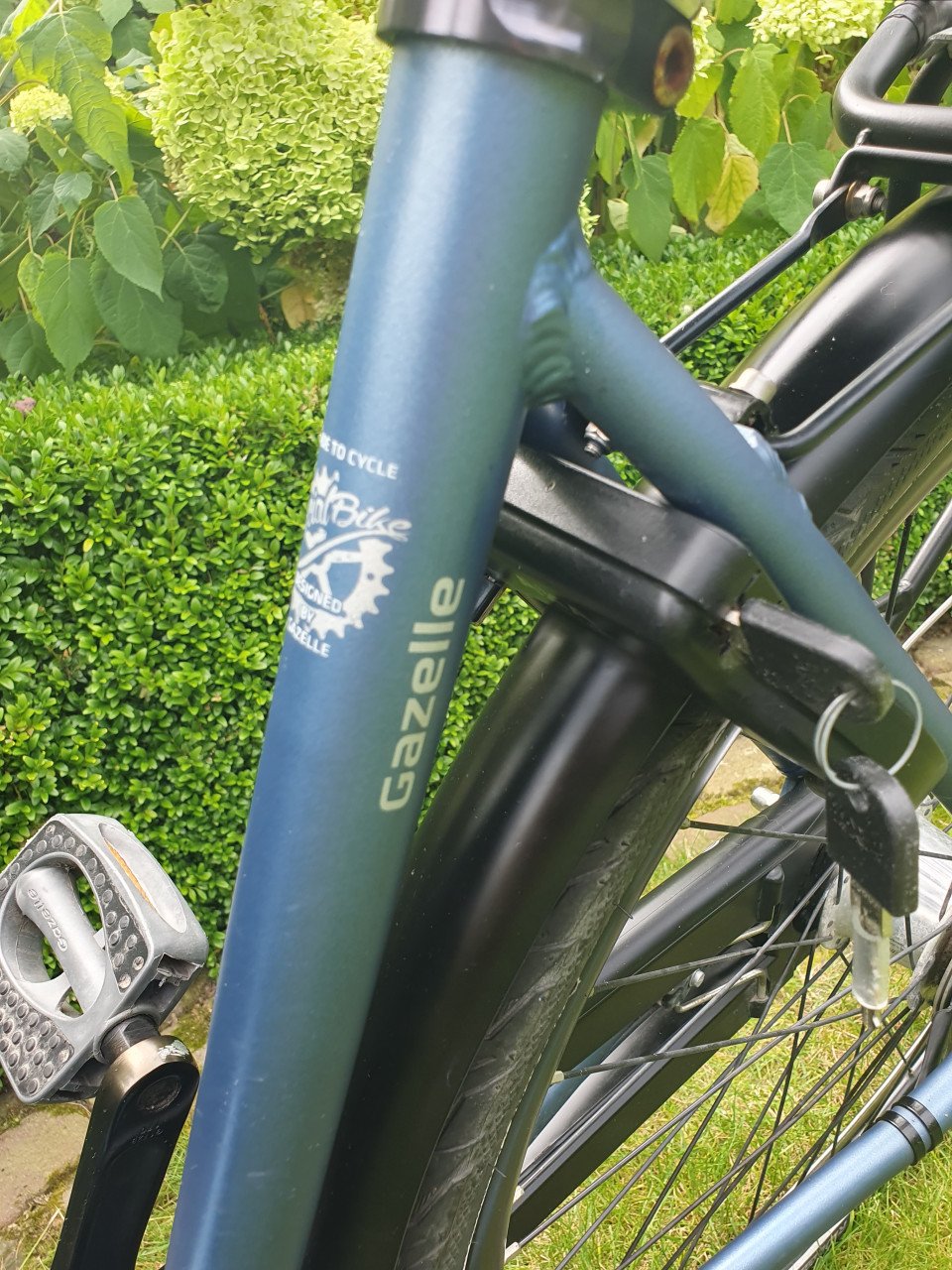 Gazelle Esprit D49 meisjesfiets 7 versnellingen