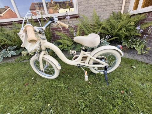 Raccoon kinderfiets 14inch
