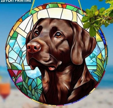 Raamhanger labrador