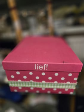 Opbergdoos Lief! L34xB26xH16 cm
