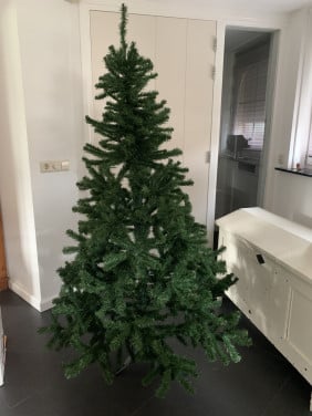 Kerstboom ( intratuin)
