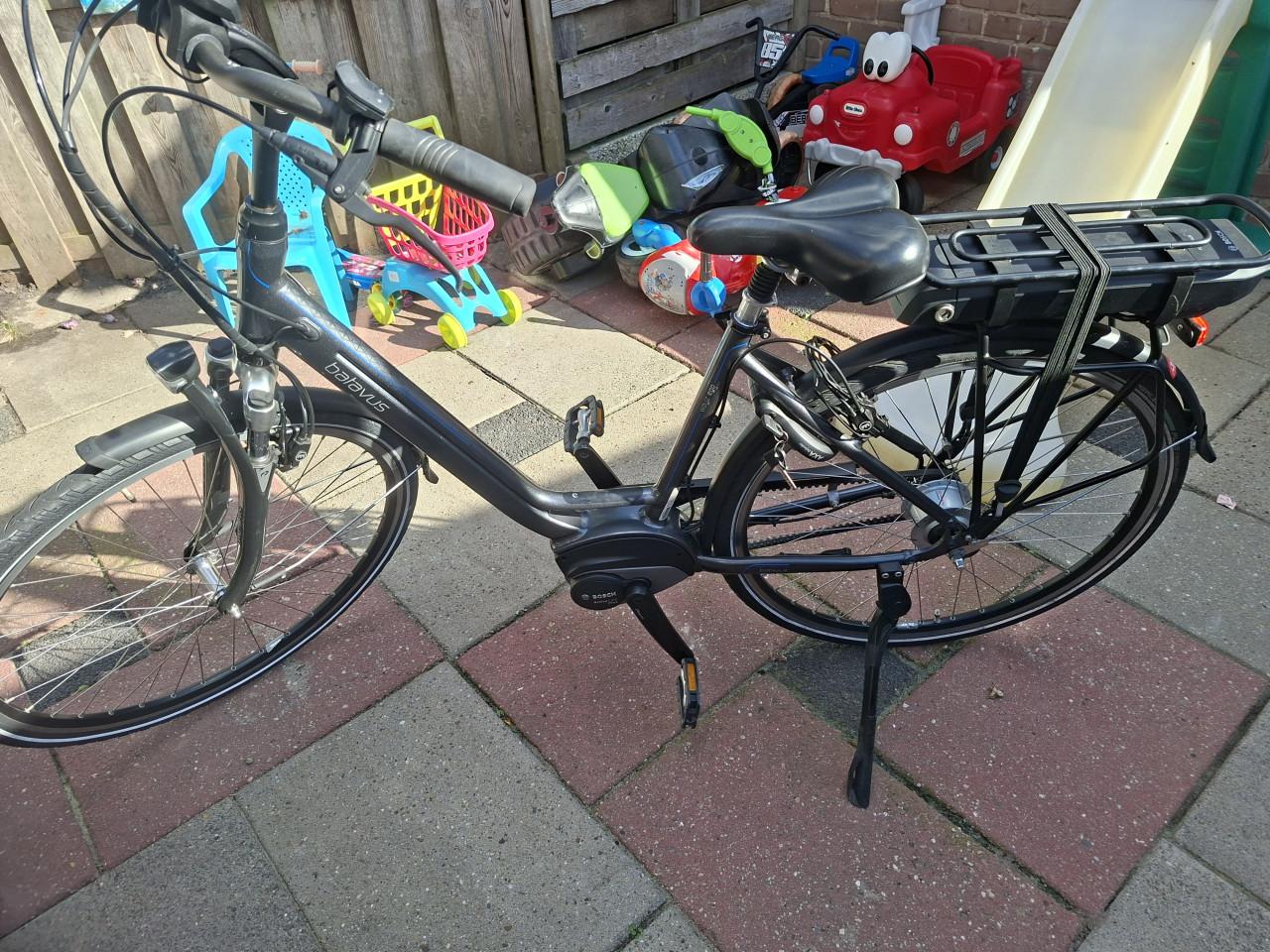 Batavus
