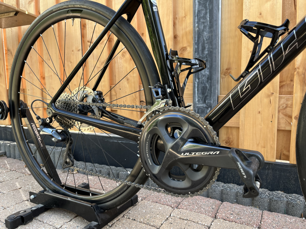 Giant TCR Pro M(54)