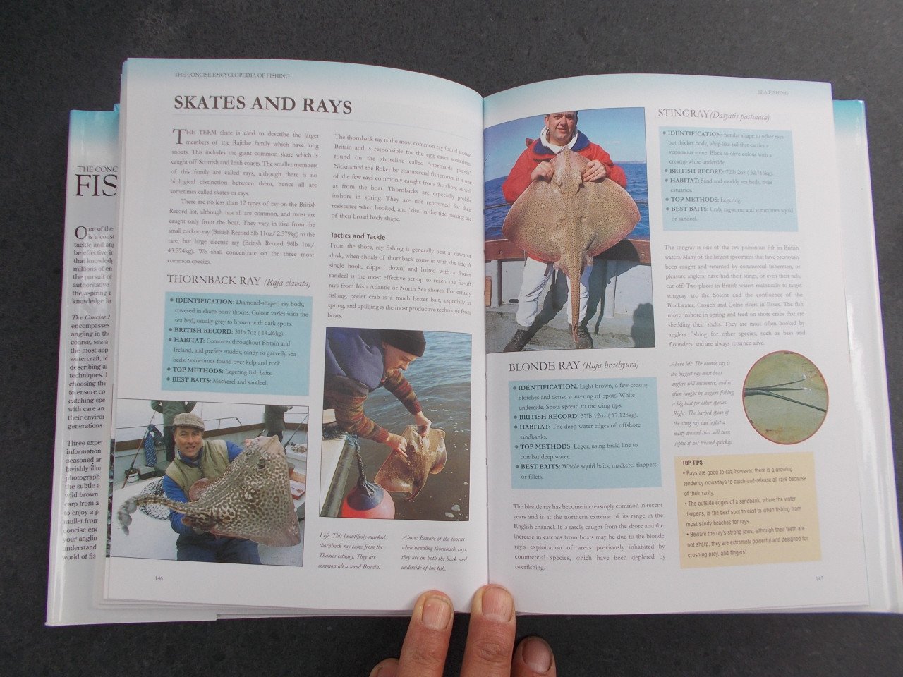Fishing , ZEE, ZOET en Vliegvissen . 256 pagina's