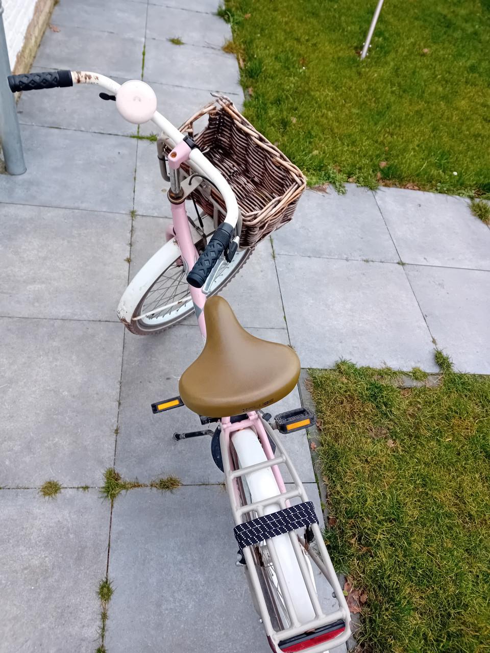 Meisjesfiets 22 inch