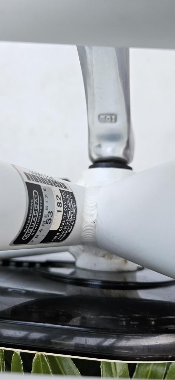 Batavus  Mambo Damesfiets