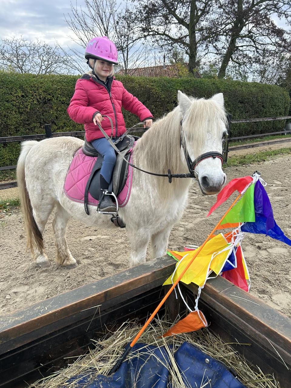 #Equi Pride# gedrag, grondwerk, rijden, Naturel Horsemanship, etc.