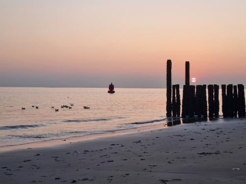 Droomhuis gezocht! Bent u de eigenaar?