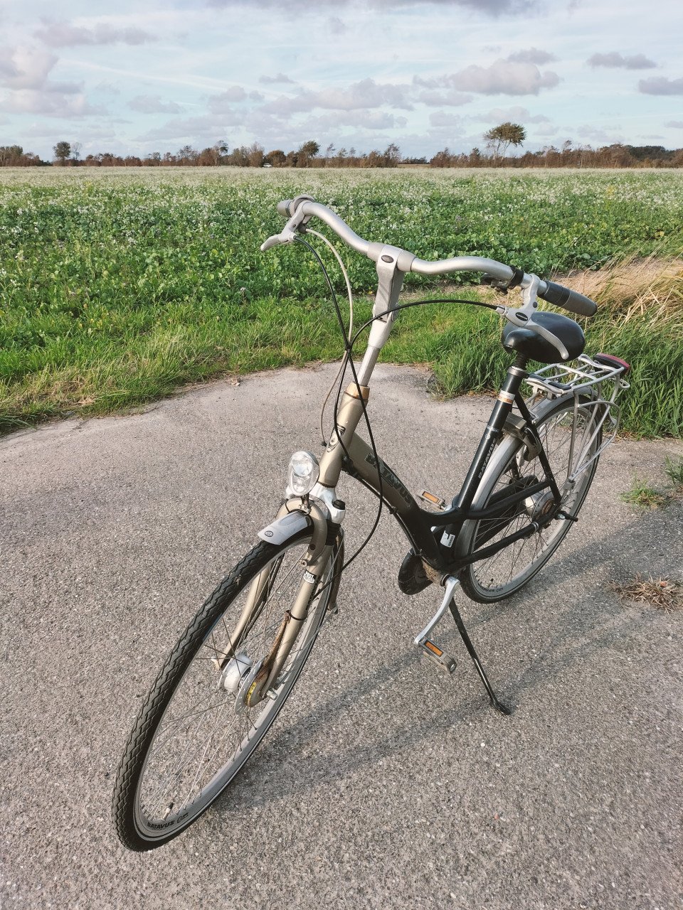 Batavus & Sparta damesfietsen