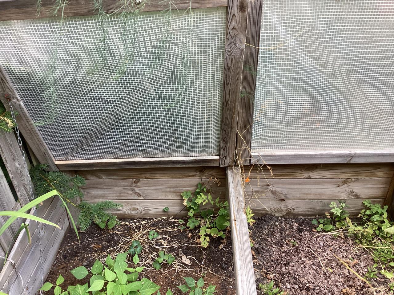 Platte moestuinbak