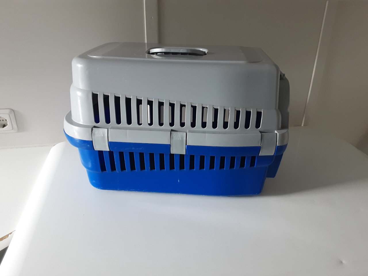 Vervoersbox kat