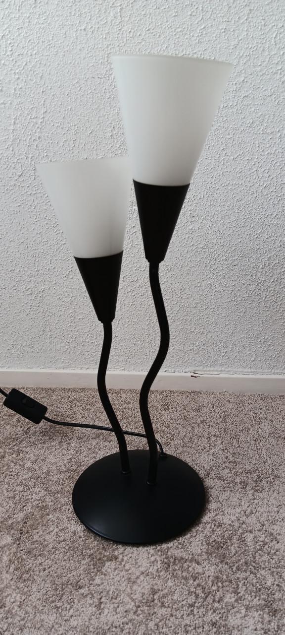 2 MOOIE STAANDE LAMPEN