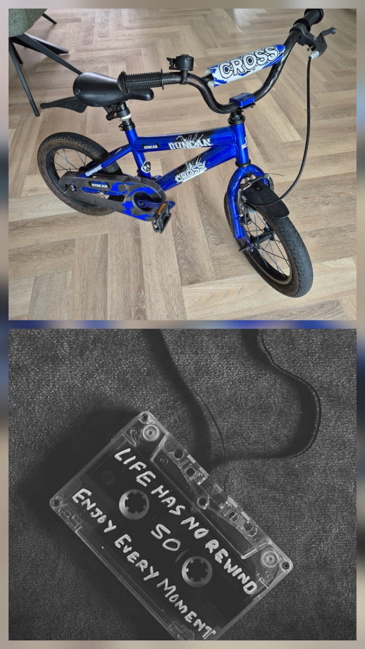 Elektrische fiets Trenergy | Inruil oude fiets bespreekbaar.