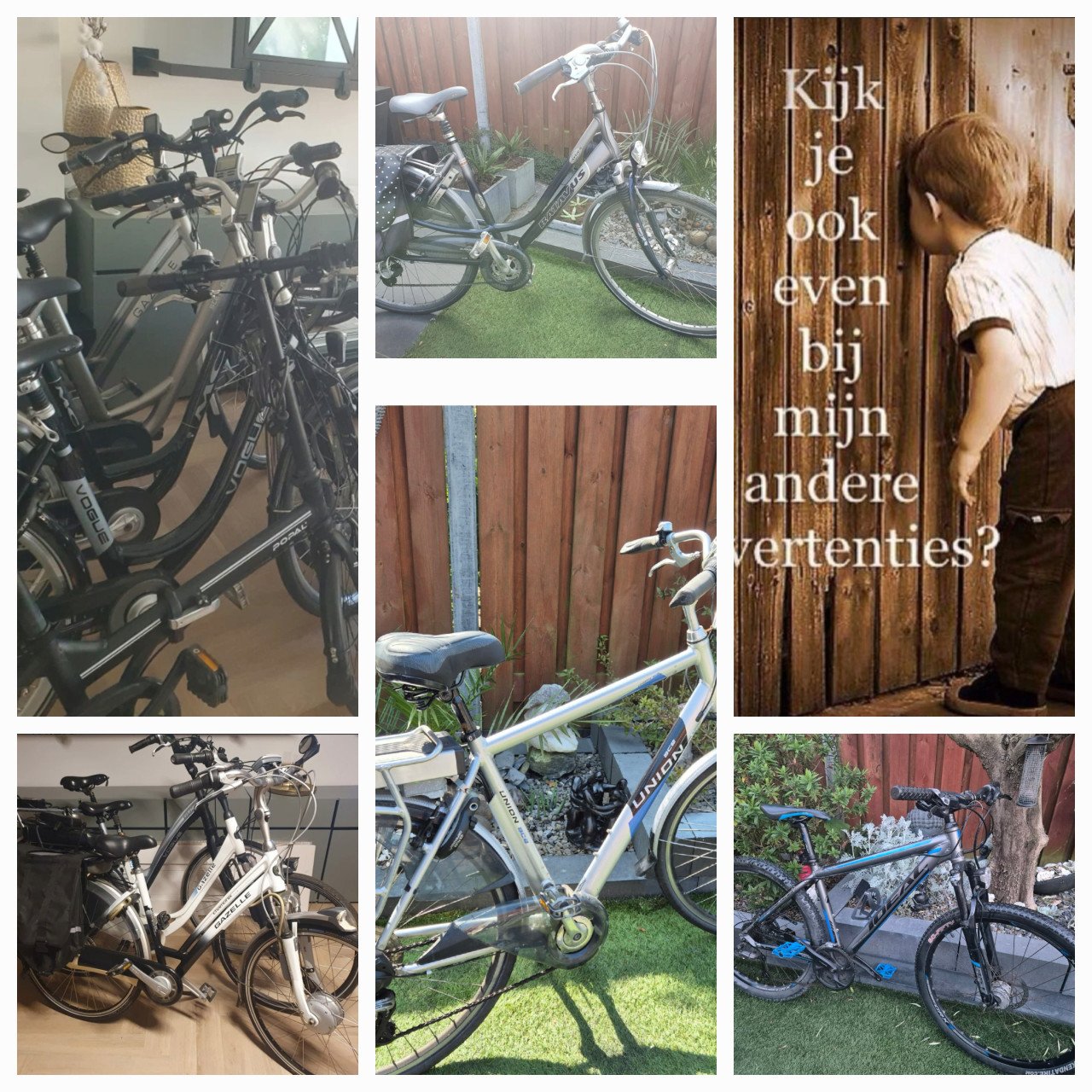 UITZOEKEN | Elektrische fietsen tussen de 350 en 650euro.