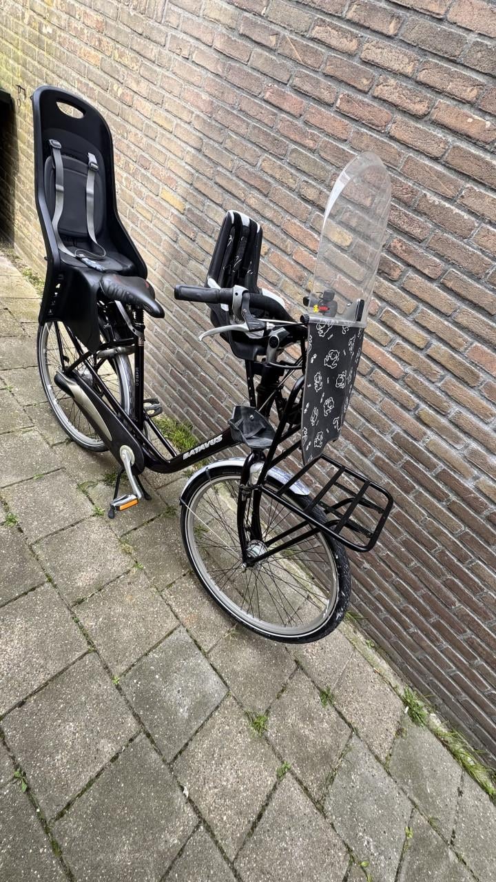 Batavus mambo moederfiets