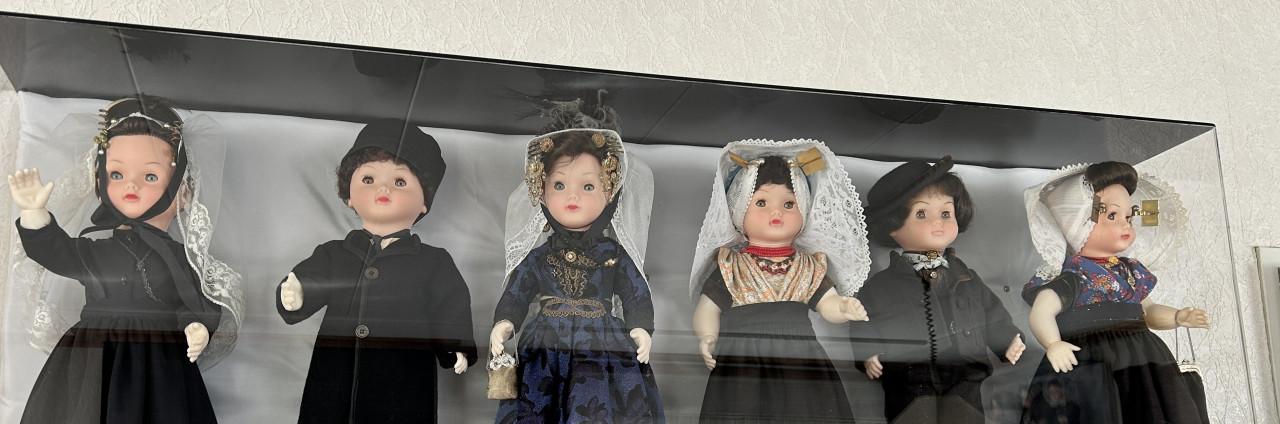 COLLECTIE BOERENPOPPEN