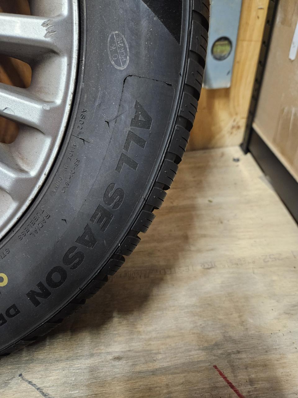 Fordvelgen plus allseasonsbanden