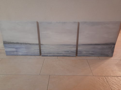 3 canvas schilderijen 56 x 56 (z.g.a.n.)  Per schilderij 56 x 56
