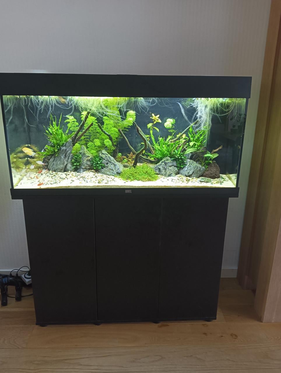 Aquarium rio 180 Juwel