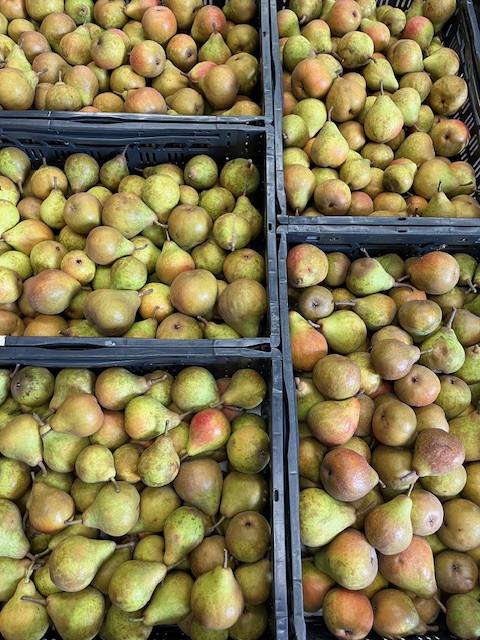 Stoofperen te koop (Giser Wildeman)