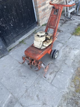 Tuinfrees