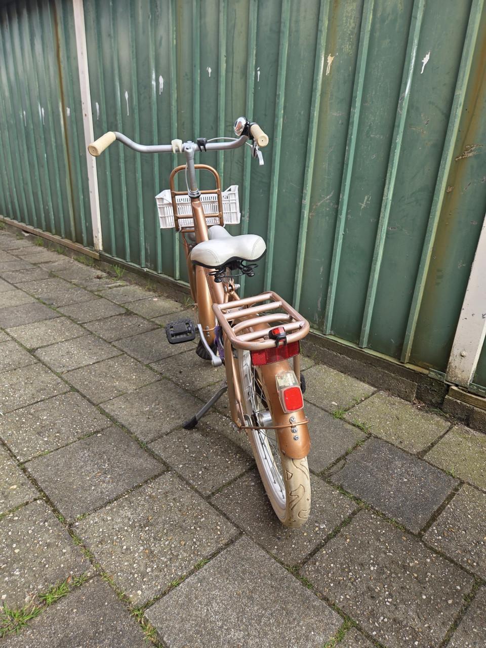 Meisjes fiets