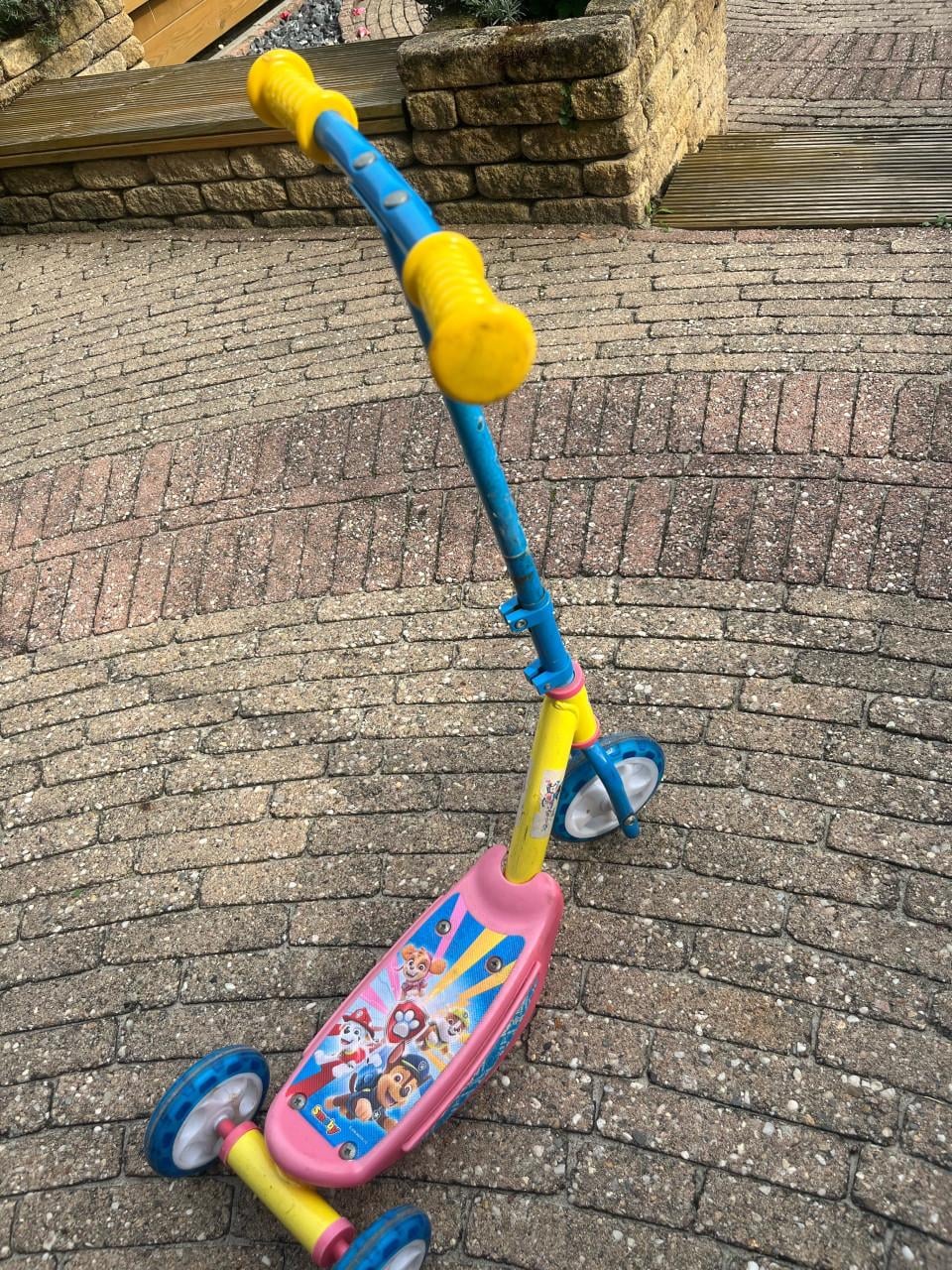 Step Paw Patrol