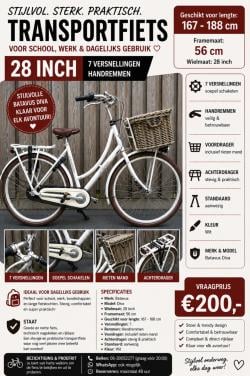 🚲 Batavus Diva – 28 inch transportfiets – 7 versnellingen