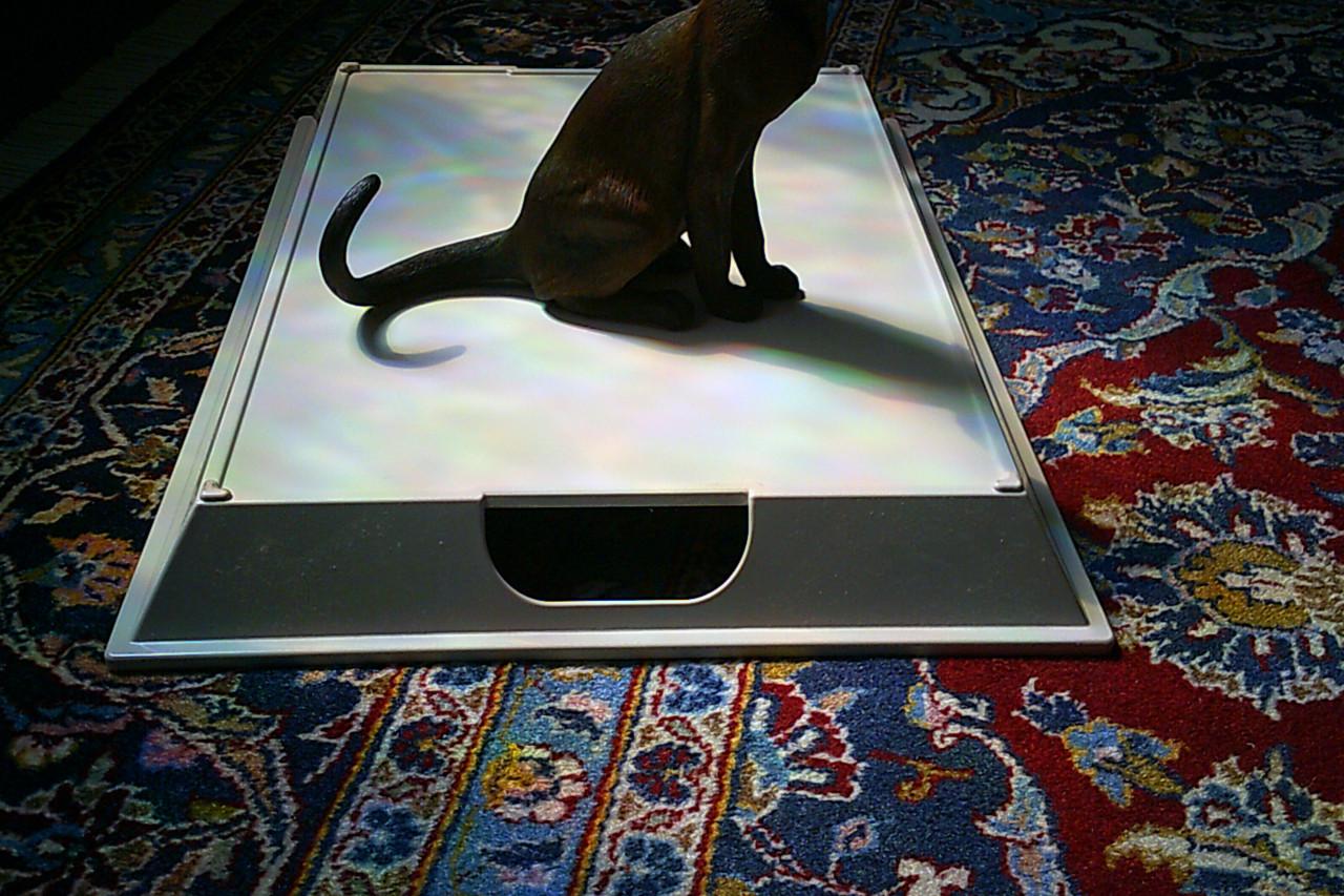 LEVENSECHT beeld SIAMESE KAT - uitgave van Fine Art ...