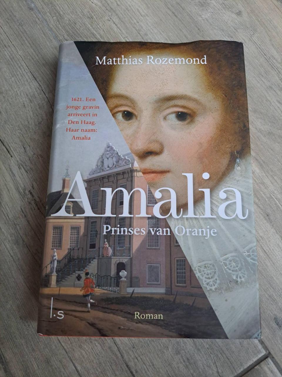 Roman Amalia prinses van Oranje van Matthias Rozemond