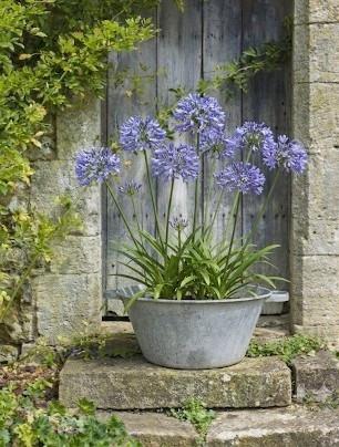 Diverse zinken items voor de tuin