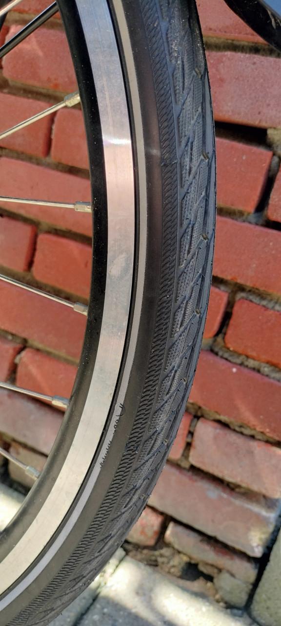 Stella Livorno steps