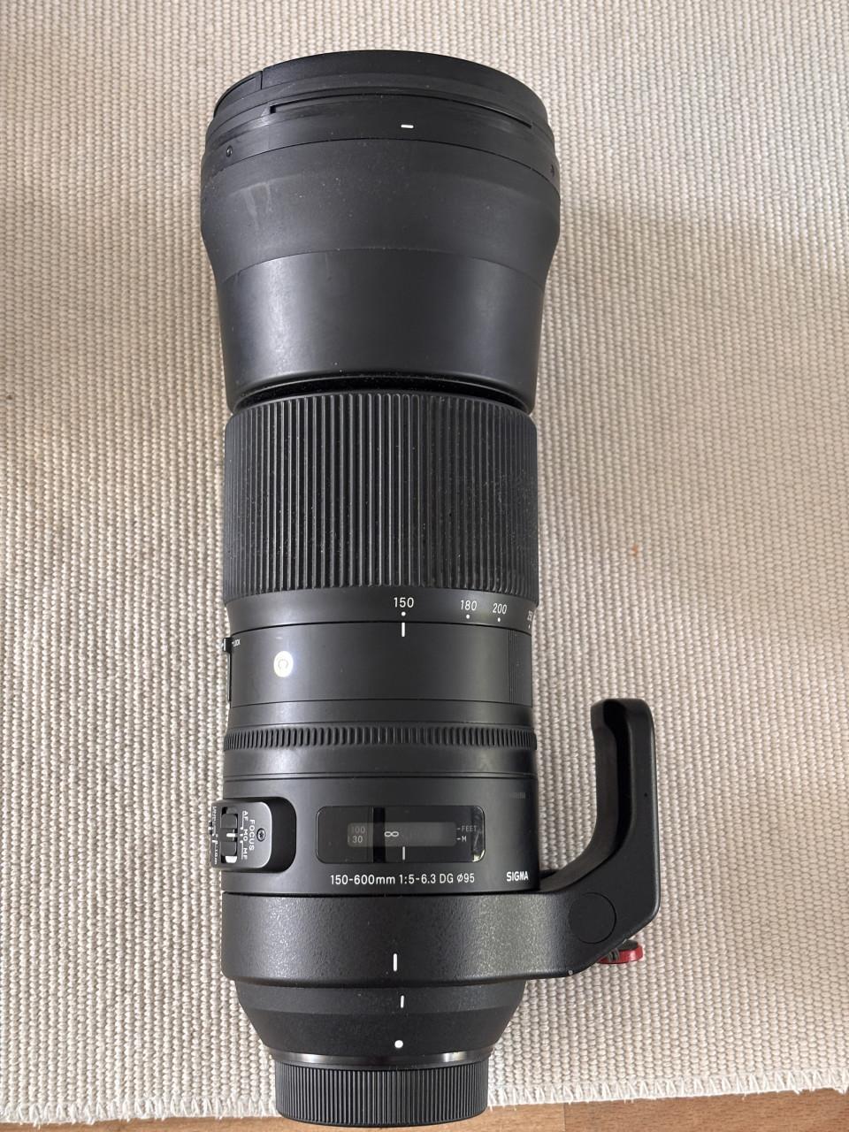 Sigma 150-600mm Contemporary F5-6,3 DG Nikon-F vatting + TC1401