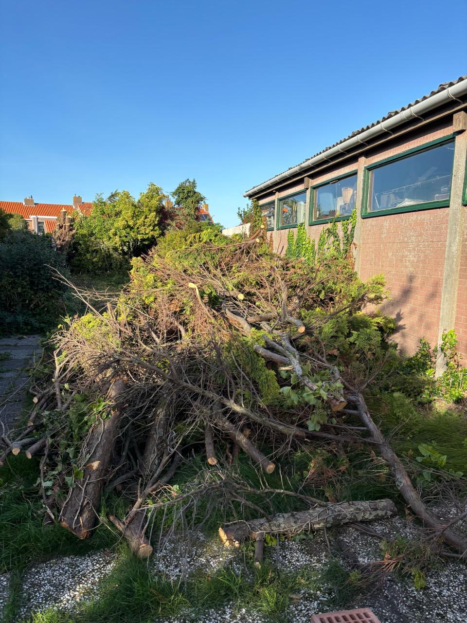 Gratis haardhout