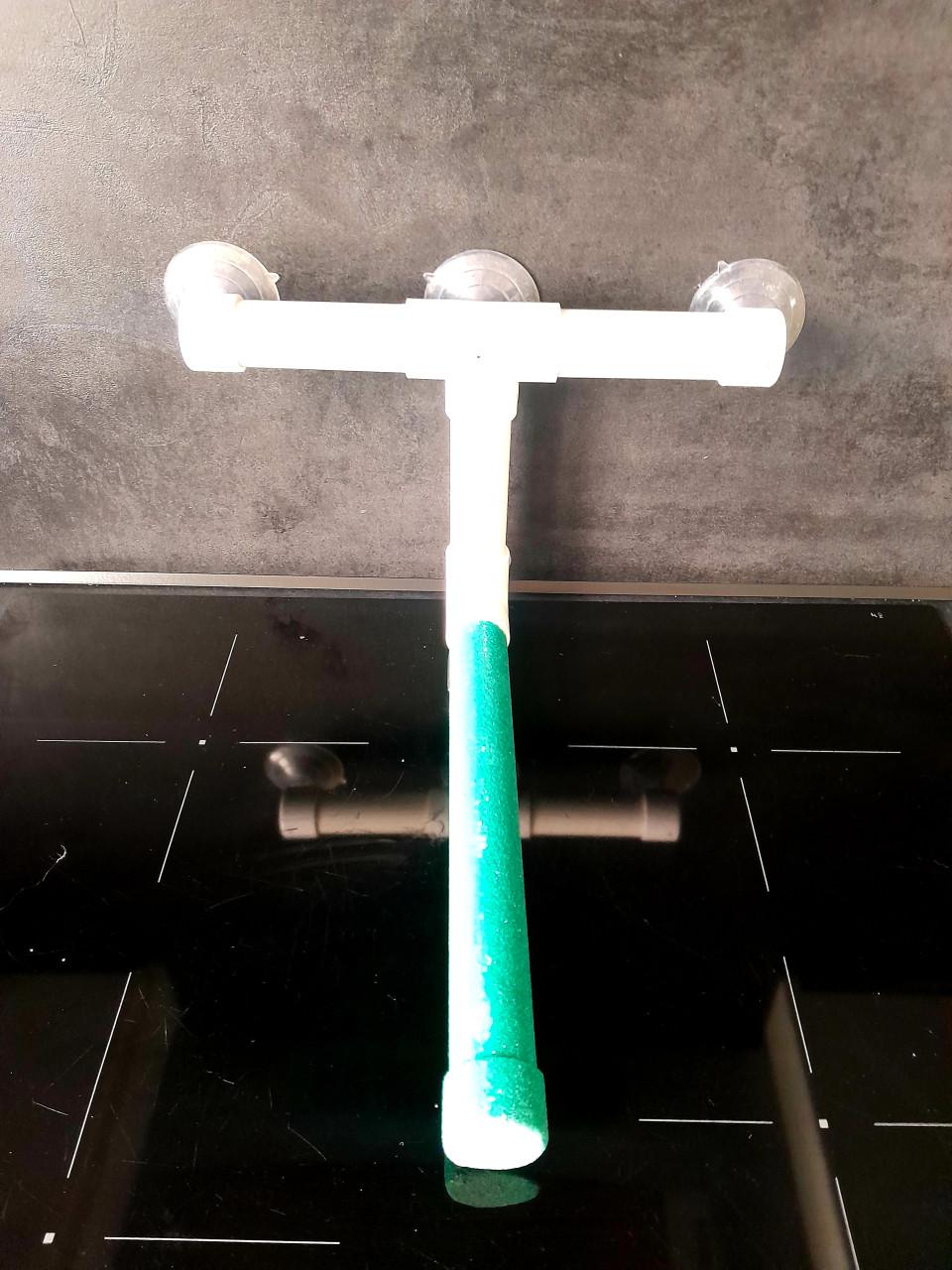 Papegaai/Parkiet zit stok