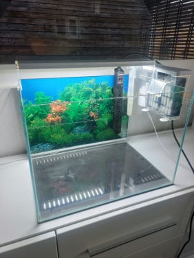 Aquarium