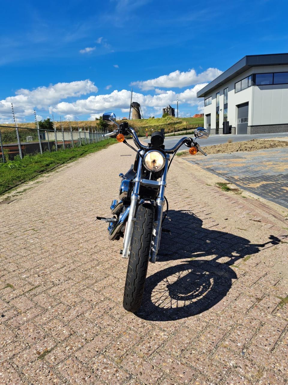 Harley Davidson Sportster 883 Low