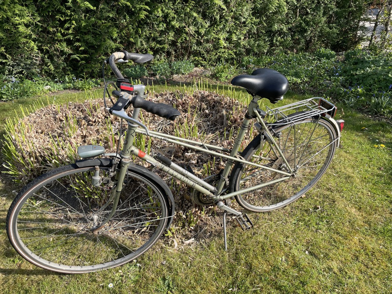 Damesfiets Batavus Sprint
